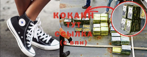 гашик Белокуриха