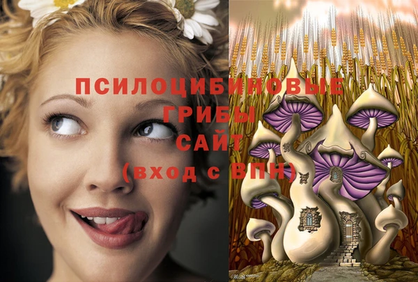 мескалин Баксан