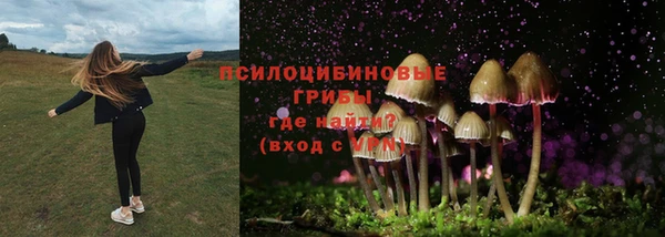 прущие грибы Белоозёрский